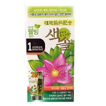 색솔 웰빙 칼라 크림 염색제 70g, 1호(자연흑갈색), 1개