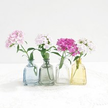 브리즈 사각 유리화병 4p 세트, 투명, 그레이, 블루, 머스터드