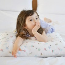 아띠블랑 아이스 인견 경추 베개, 팜트리