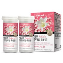 내츄럴플러스 에버핏 편안해질 유산균, 30정, 2개