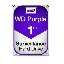 WD PURPLE 보안전용 HDD, WD10PURZ-85U8XY0, 1TB