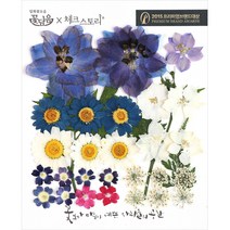 체크스토리 압화꽃 공예 B타입, 02 미니신랑