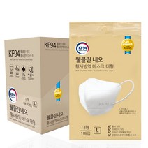 웰클린 네오 보건용 황사마스크 대형 KF94, 40개입, 1개