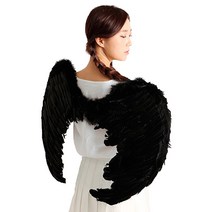 파티해 천사 날개 대, 블랙, 1개