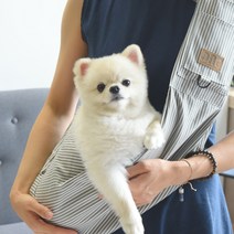 펫디엔씨 반려동물 이동가방 슬링백, 그레이 스트라이프