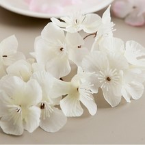 벚꽃잎 봉지 100p, 크림