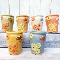 다육이 화분 6종 세트, 국민미녀
