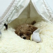 개편한세상 강아지 빈백, 아이보리