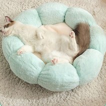 와다다샵 반려동물 꽃침대, 그린살구