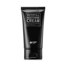 WTF 왓더페이스 워터폴 수분크림, 100ml, 1개