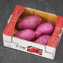 해들녘 고창황토 고구마 왕특, 1.5kg(왕특), 1개