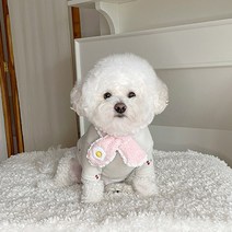 바이담수미 강아지 후라이 보아 털목도리 S, 핑크, 1개