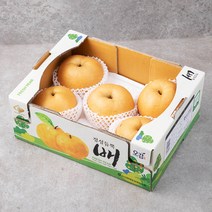 정성듬뿍 GAP 인증 아산 실속배, 3kg(4~7과), 1박스