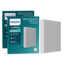 필립스 고퓨어 차량용 에어컨필터, D0141, 2개