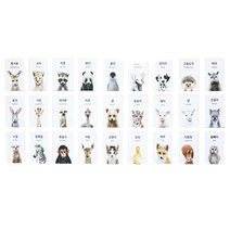 한글 영어 버전 아기동물 낱말 카드 27종 세트, 혼합색상
