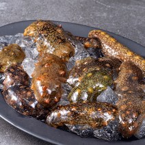 남해안 산지직송 자연산 생물 해삼 (냉장), 1kg, 1개