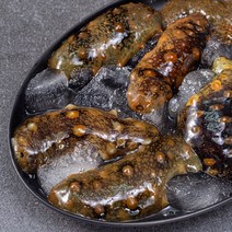 남해안 산지직송 자연산 생물 해삼 (냉장), 500g, 1개