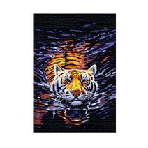 플레이어바웃 DIY 명화그리기, 기타 물속 호랑이
