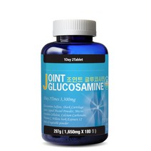 통라이프 조인트 글루코사민 297g, 1개