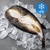 아라보감 담백 속 시원한 자연산 탕용 볶음용 손질 밀복 (냉동), 700g 이상, 1개