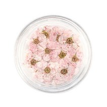 해피제이 압화 드라이플라워 네일 파츠, 1개, 연분홍