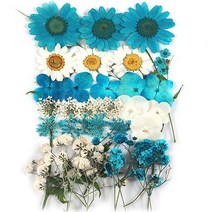 프레스코21 압화 종합팩, K127, 1개