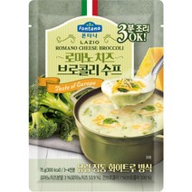 폰타나 라치오 로마노 치즈 브로콜리 수프 파우치, 75g, 1개