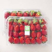과일진심 산청 GAP 인증 설향딸기, 500g, 2개