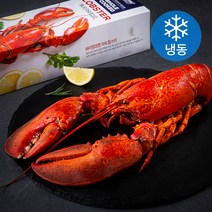 바이킹마켓 캐나다산 자숙 랍스터 (냉동), 1kg 내외, 1개