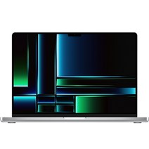 Apple 2023 맥북 프로 16, 실버, M2 Pro 12코어, 1TB, 32GB, MAC OS, 한글, Z17800030