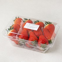 국내산 한반도 비타베리 딸기, 750g, 1팩