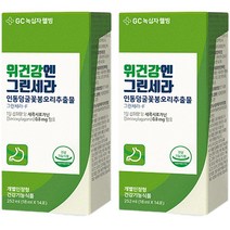 GC녹십자웰빙 위건강엔 그린세라 인동덩굴꽃봉오리추출물 14p, 252ml, 2박스