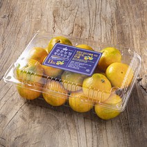 중문농협 당도선별 하우스 감귤, 1.4kg(2S~M), 1팩