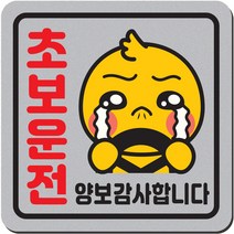 1am 자동차 자석 초보운전 스티커 짝부터 정사각 중 6 병아리, 은색, 1개