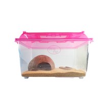 로라펫 골드 아레나슈가 바닥재 소라게 크랩 키우기 세트, 랜덤발송(뚜껑), 황토색(바닥재)