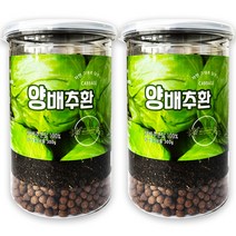 헬로우그린 양배추환 통, 300g, 2개