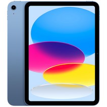 Apple 정품 2022 아이패드 10세대, 블루, 256GB, Wi-Fi
