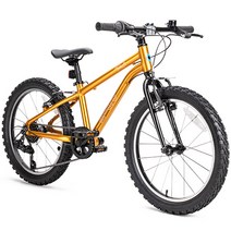 마이크로바이크 프리미엄 50.8cm 초경량 알루미늄 자전거, 130cm, 어프리콧