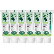 덴티스테 플러스화이트 후레쉬 치약, 60g, 6개