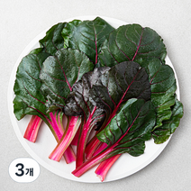 적근대, 150g, 3개