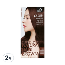 꽃을든남자 CS먹물 프리미엄 헤어 칼라크림, N4(30)자연흑갈색, 2개