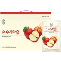 부림농원 예산 햇살바람사과생즙 아기 생생 임산부 건강한 사과액기스 순수 애플 사과즙 주스 산지직송, 2.스파우트형(30개), 1box