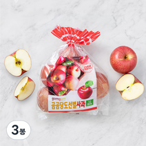 곰곰 당도선별 사과, 1.5kg봉, 3봉