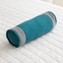 사랑예감 국내생산 바이오칩 원형, 하늘