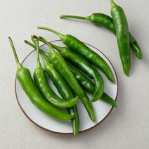 밀양 오이맛고추, 1봉