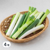 GAP인증 절단대파, 500g, 4개