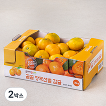 곰곰당도선별 감귤, 1.5kg, 2박스