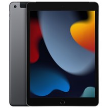 Apple 아이패드 10.2 2021년 9세대, 스페이스 그레이, 64GB, Wi-Fi+Cellular