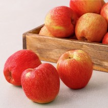 홍로 햇 꼬마사과 (13~17입), 2.5 kg, 1봉