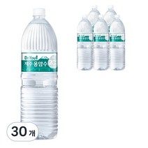 오리온 닥터유 제주용암수, 2L, 30개